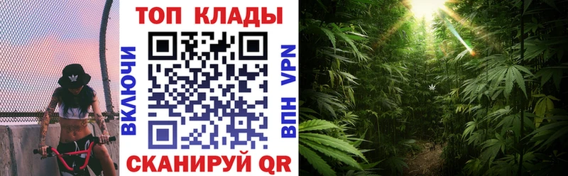 Наркотические вещества Гаврилов Посад Alpha-PVP  ГАШИШ  Канабис  Кокаин 