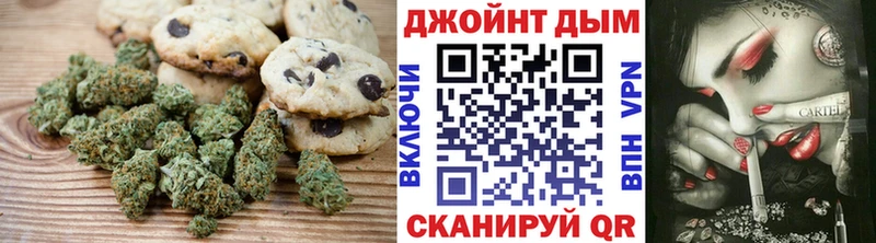 купить  цена  Гаврилов Посад  Canna-Cookies конопля 