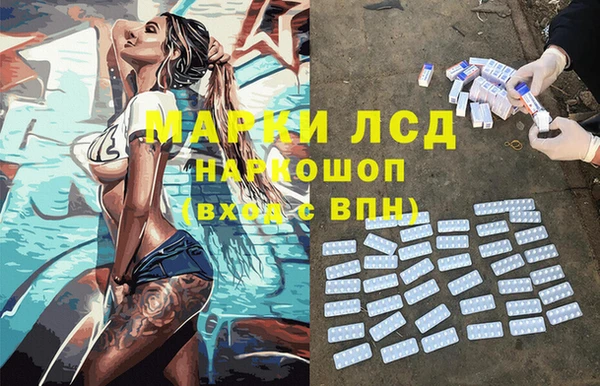 гидра Горно-Алтайск