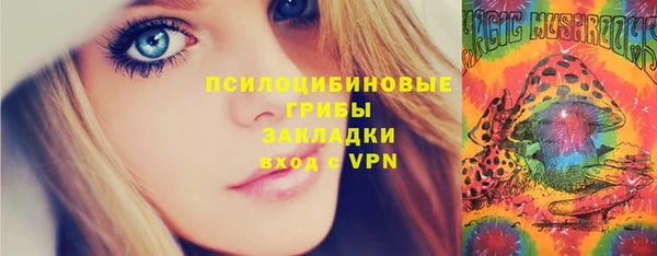 хмурый Снежногорск