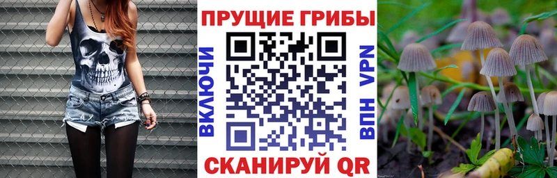 Галлюциногенные грибы мицелий  что такое   Гаврилов Посад 